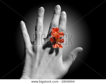 Květ mezi prsty Instaed Ring