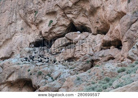 Beautiful Desert Landscape Of Todra Gorge In High Atlas In Morocco