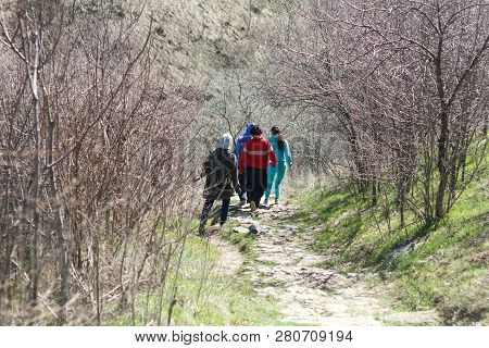Tourists Walk Outdoors In The Forest Springtime