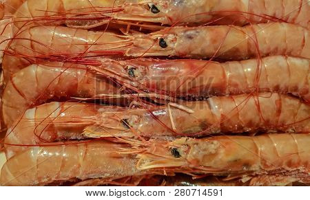 Natural Background Of Large Sea Shrimp, Seafood.