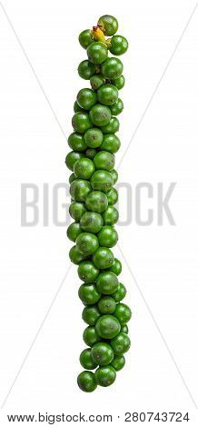 Green Pepercorn Isolated On With White Clipping Path