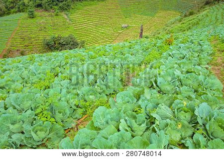 Beautiful Landscape View On Monjam Mountain Chianmai City Thailand