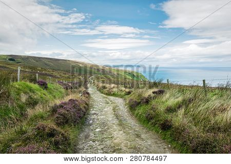 Irish Moorland Trail