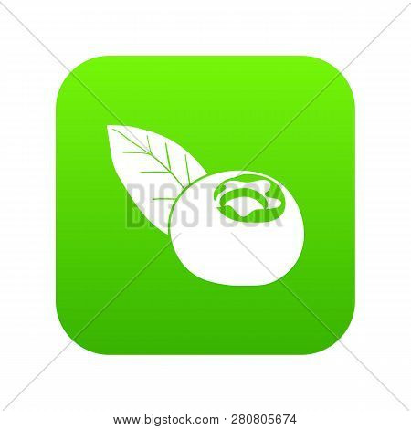 Cranberry Icon Green Isolated On White Background