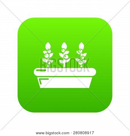 Outdoor Potted Plants Icon Green Isolated On White Background