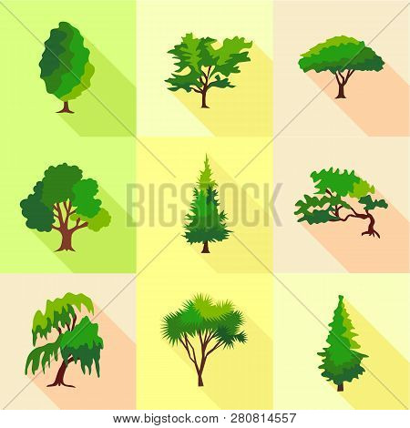 Abies Icons Set. Flat Set Of 9 Abies Icons For Web Isolated On White Background