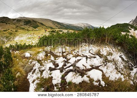 Harm From Tourists In The Carpathians