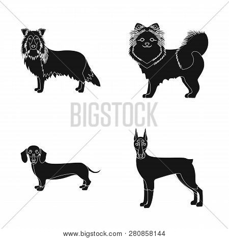 Vector Illustration Of  Cute  And  Logo. Set Of  Cute  And  Stock Vector Illustration.