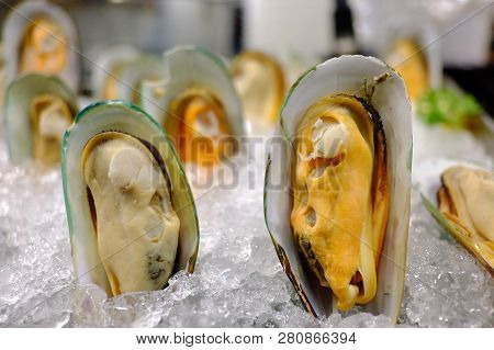 A Group Of Fresh Green Mussels On Ice And Display In Front Of The Seafood Shop At Night
