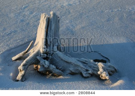 Intoppo sulla neve