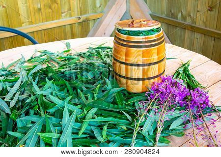 Blooming Sally Leaves And Flowers - Raw Materials For Making Traditional Russian Koporsky Tea Also K