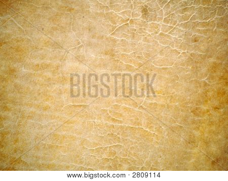 Pelle Texture1