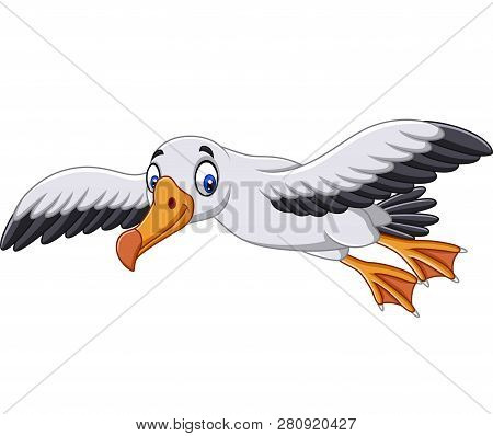 Vector Illustration Of Cartoon Albatross Flying On White Background