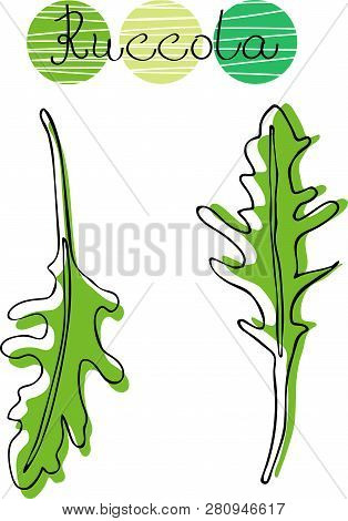 Set Of Hand Drawn Drawing Of Ruccola. Linear Art Of Arugula. Poster With Healthy Vegetarian Food.