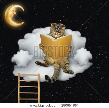 The Funny Cat Is Reading The Book On The Cloud Like A Sofa. Stars Background.