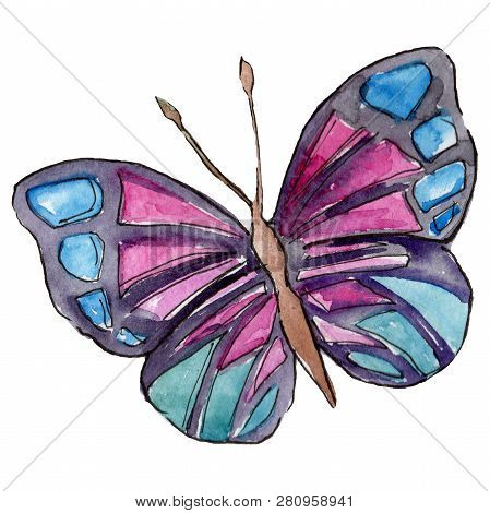 Sky Butterfly In A Wildlife By Watercolor Style Background. Watercolour Isolated Butterfly Illustrat