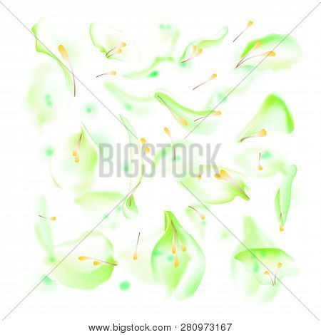 Vector Set Of Green Falling Rose And Sakura Petals. Blurred Spring Blossom Petal Set With Decorative