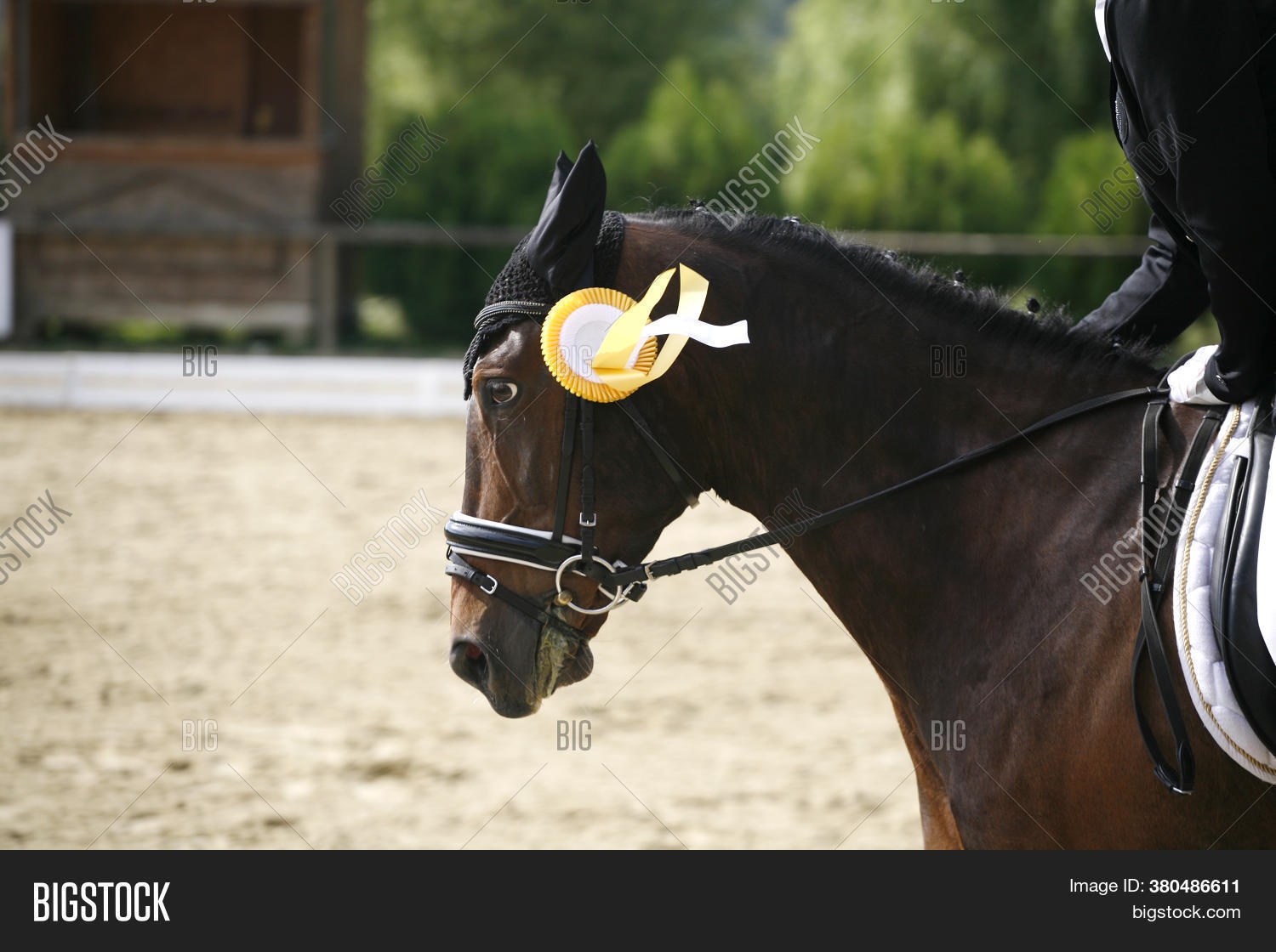 Colorful Ribbons Image & Photo (Free Trial) | Bigstock