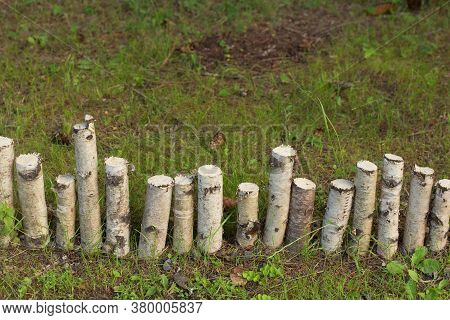Handmade Wooden Fence Made Of Birch Tree Logs With Green Grass Behind