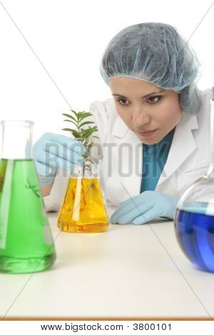 Araştırma Laboratuvarı tesisi olan bilim adamı