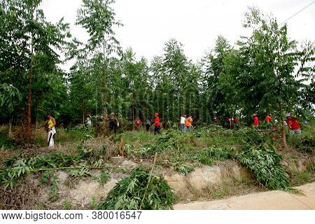 Eunapolis, Bahia / Brazil - February 28, 2011: Women Who Are Part Of The Landless Movement - Mst - A