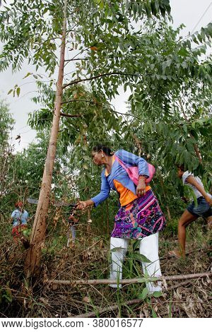 Eunapolis, Bahia / Brazil - February 28, 2011: Women Who Are Part Of The Landless Movement - Mst - A