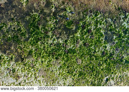 Tropical Sea Coral Reef Background. Geger Beach, Indonesia. Drone View.