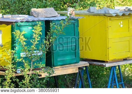 View On A Near Beehives For Honey Production.