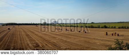 Bales Of Straw Stand In A Row On A Field Ready For Removal.