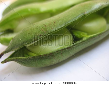 Fagioli