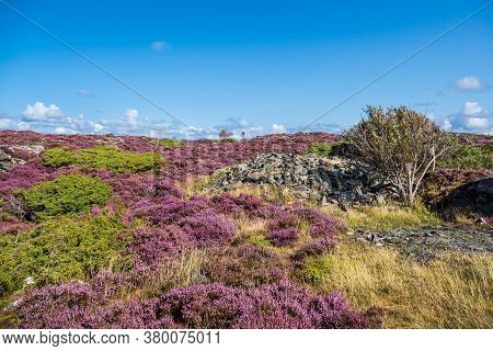 Landscape On The Island Dyroen In Sweden.