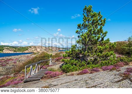 Landscape On The Island Dyroen In Sweden.