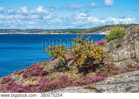 Landscape On The Island Dyroen In Sweden.