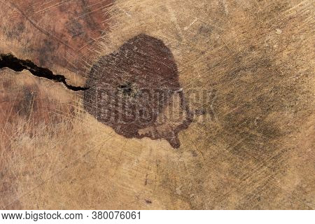 Old Wood Texture Background Surface. Wood Texture Table Surface Top View. Vintage Wood Texture Backg