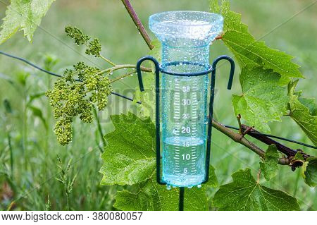 Meteorology With Rain Gauge In Garden After The Rain