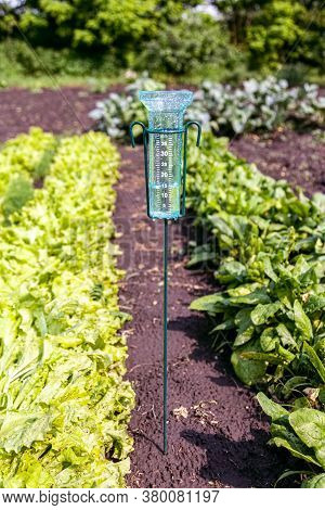 Meteorology With Rain Gauge In Garden After The Rain