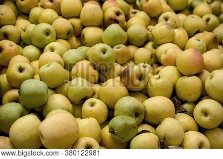 A Group Of Ripe Golden Delicious Apples  On Display At A Market In Apple Hills, California, Usa- Bac