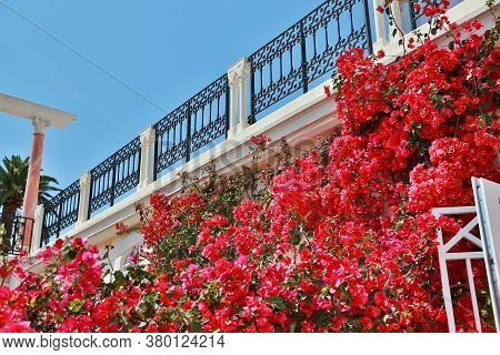 Nice, France- June 17, 2014: Villa Ephrussi De Rothschild In Saint Jean Cap Ferrat
