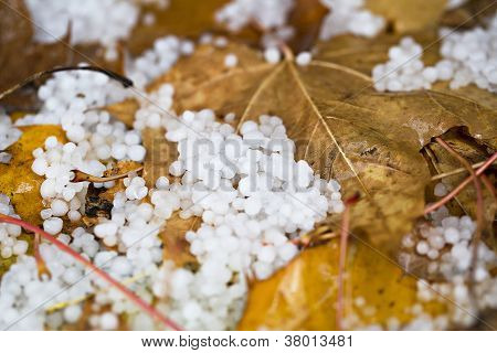 Hail On The Ground With Fallen Leaves