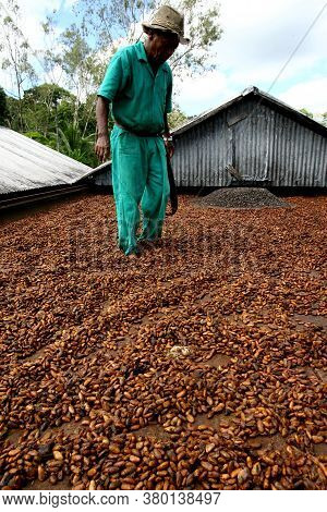 Ilheus, Bahia / Brazil - July 7, 2011: Employee Of A Cocoa Plantation Farm Are Seen On A Barge To Dr