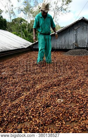 Ilheus, Bahia / Brazil - July 7, 2011: Employee Of A Cocoa Plantation Farm Are Seen On A Barge To Dr