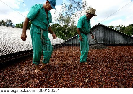 Ilheus, Bahia / Brazil - July 7, 2011: Employee Of A Cocoa Plantation Farm Are Seen On A Barge To Dr