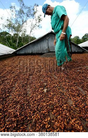 Ilheus, Bahia / Brazil - July 7, 2011: Employee Of A Cocoa Plantation Farm Are Seen On A Barge To Dr
