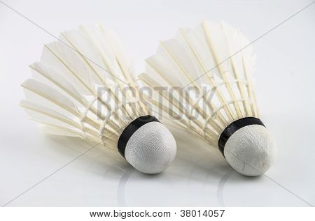 Coppia volano bianco