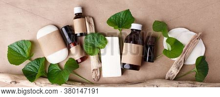 Blank Amber Glass Essential Oil Bottles With Dropper With Craft Package. Natural Organic Cosmetics P