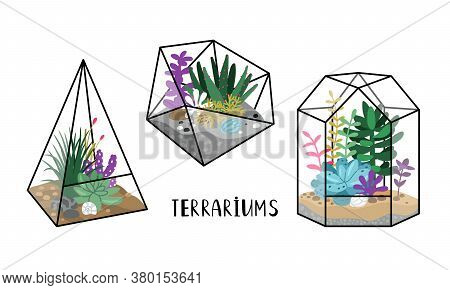 Terrariums With Plants. Cartoon Gardens With Succulents In Geometric Crystal Terrariums, Hand Drawn 