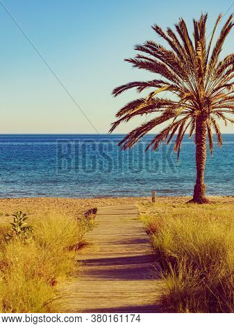 Percheles Beach, Murcia Region Spain. Mazarron Bay. Coastal Landscape With Palm Trees And Wooden Pat