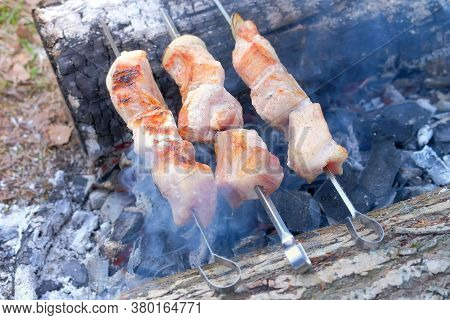 Close-up Of Roasted Shashlik On Skewers. Succulent Barbecue Roasting On Hot Coals On Bonfire Among F
