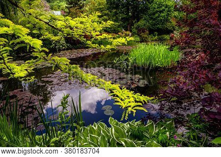 Gardens Of Painter Claude Monet In Giverny, France