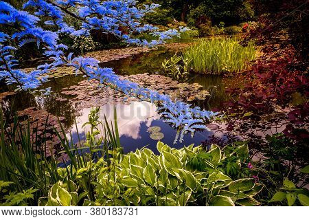 Gardens Of Painter Claude Monet In Giverny, France